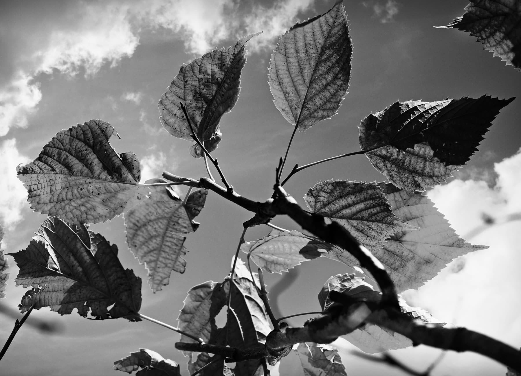 Intrasenze uppdaterar sin integritetspolicy